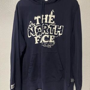 The North Face Men's Navy Sweater